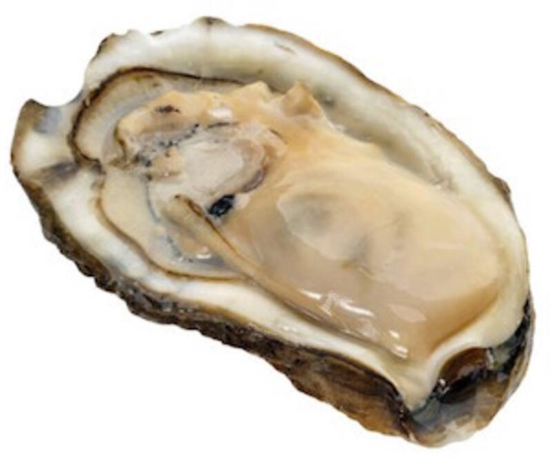 Raw Oyster